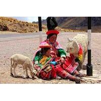 The Sun\'s Road One-Way Tour to Puno from Cusco