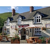 The Hand at Llanarmon