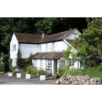 The Cottage in the Wood