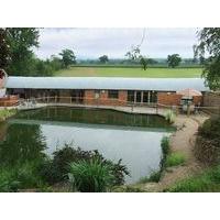 the old sheep shed