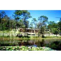 The Original Gold Rush Colony