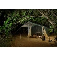 The Yala Holidays Camping