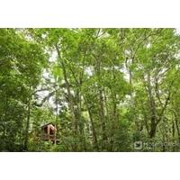 THE CANOPY RAINFOREST TREEHOUSES AND WILDLIFE SANCTUARY