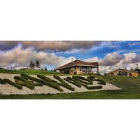 The Wilds at Salmonier River