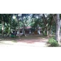 The Saffron Country House