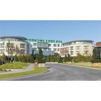 The Cork International Hotel