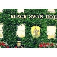 THE BLACK SWAN HOTEL