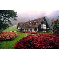 The Lakehouse Cameron Highlands