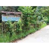 Thanh Kim Nga Bungalow