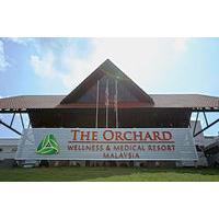 the orchard wellness health resort