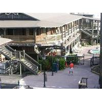 The Driftwood Resort