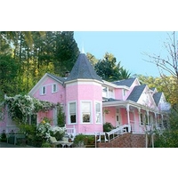 The Pink Mansion