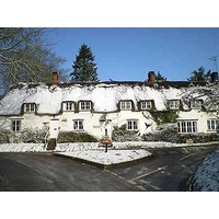 The Brace of Pheasants - Inn