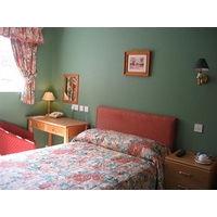 The Old Wisteria Hotel