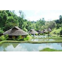 The Natural Healing Spa Retreat