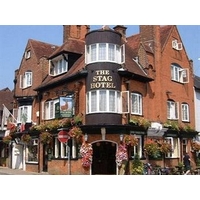 the stag hotel