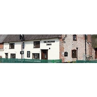 The Ingham Swan