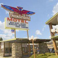 thunderbird motel