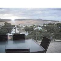 The Dunes Cotton Tree