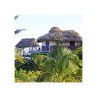 thatch caye belize