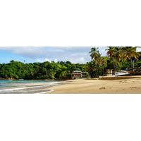 The Naturalist Beach Resort