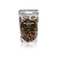 the raw chocolate company ltd raw chocolate raisins 28g organic 28g