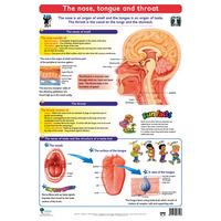 the nose tongue and throat wall chart