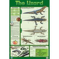 The Lizard Wall Chart