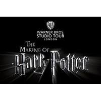 the making of harry potter with afternoon tea adult and child