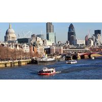 Thames Sightseeing Cruise and The Tower of London
