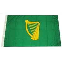 The GAA Store Leinster 5\' x 3\' Flag