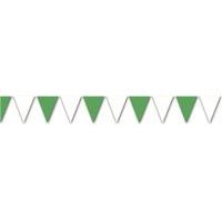 The GAA Store Bunting - Green & White