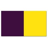 the gaa store purplegold half and half flag