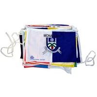 The GAA Store 32 County Flag Bunting