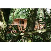 three night tree house escape for two