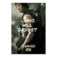 the walking dead daryl survive maxi poster 61 x 915cm