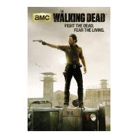 the walking dead season 3 maxi poster 61 x 915cm