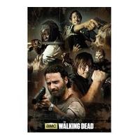 the walking dead collage maxi poster 61 x 915cm