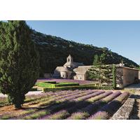 The Provence - Jumbo Generic 1000 Piece Jigsaw Puzzle