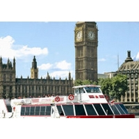 thames cruise rover pass adult
