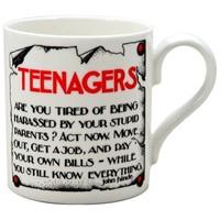 The \'Teenagers\' Mug - WHATEVER!