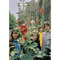 The Beatles Mad Day Out Postcard.