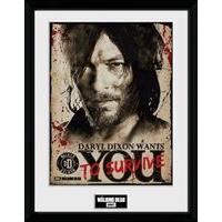 The Walking Dead Daryl Poster