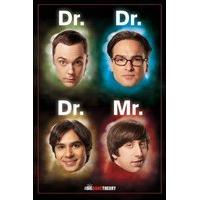 the big bang theory dr mr maxi poster multi colour