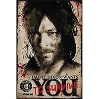 The Walking Dead Daryl Needs You Poster