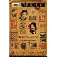 The Walking Dead Infographic Poster
