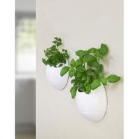 thumbs up eco pod self watering herb pot white