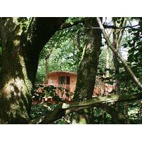 Three Night Tree House Escape for Two