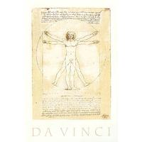 The Vitruvian Man By Leonardo da Vinci