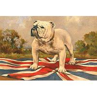 The British Bulldog By 19th Century English School